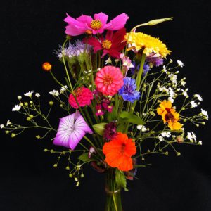 birthday-bouquet-1559029_640